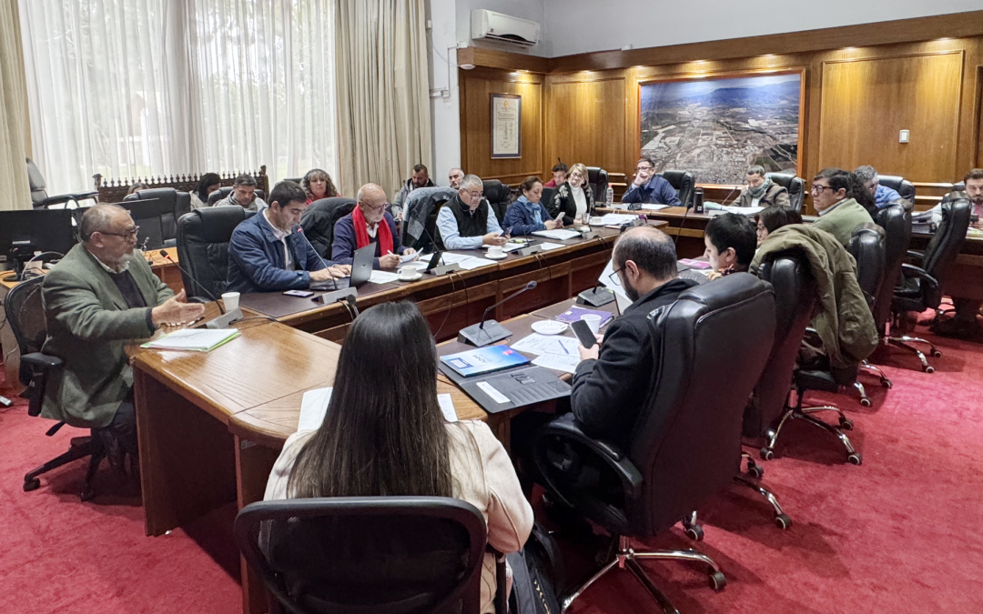 Concejo Municipal de Pudahuel aprueba incorporación a Asociación Msur.